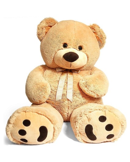 Teddy bear