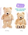 Teddy bear