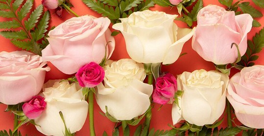 Get Well Flowers